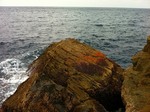 IMG_0363.jpg