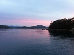 IMG_0489.jpg