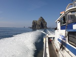 DSC00687.jpg